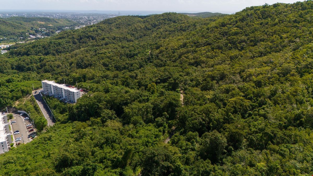 Ponce Agricultural 18.36 Acre Land @ Canas Ward - For Sale