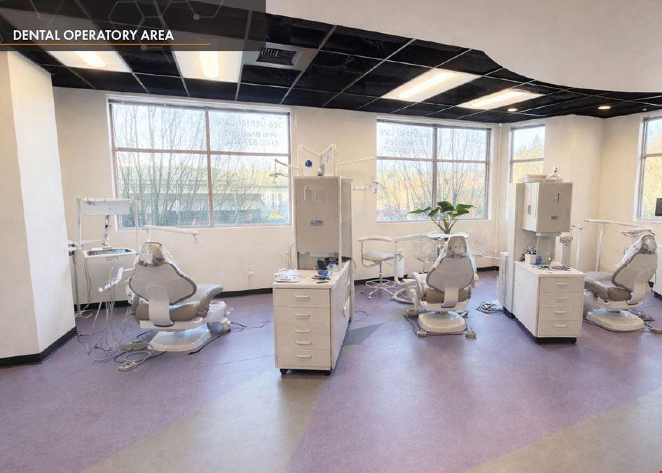 Palazzo Building (Dental Condo) For Sale