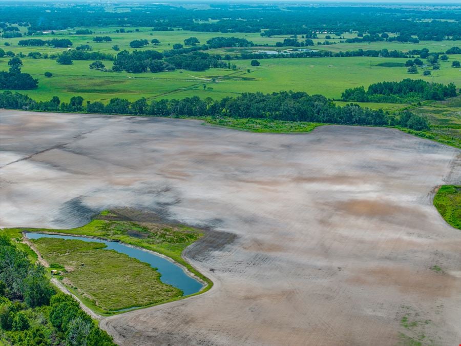 Sumter County Sod Farm