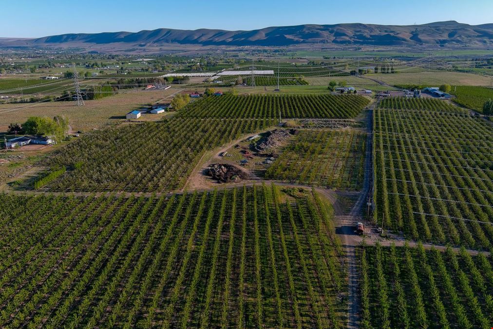 Benton Acord Orchard