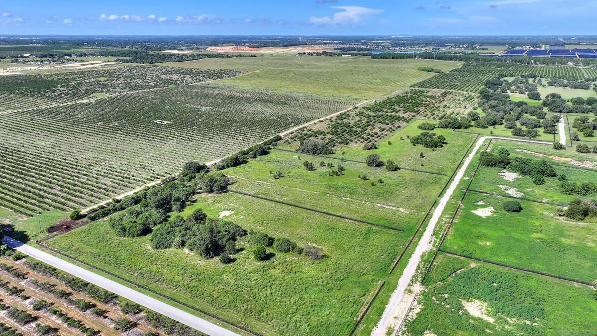St. Helena Road 20 Acre Grove