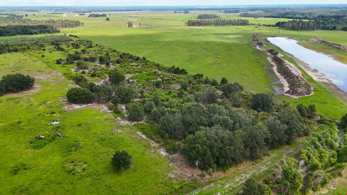Hopkins Lane 7 Acres