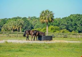 Wesley Chapel Equestrian Acreage