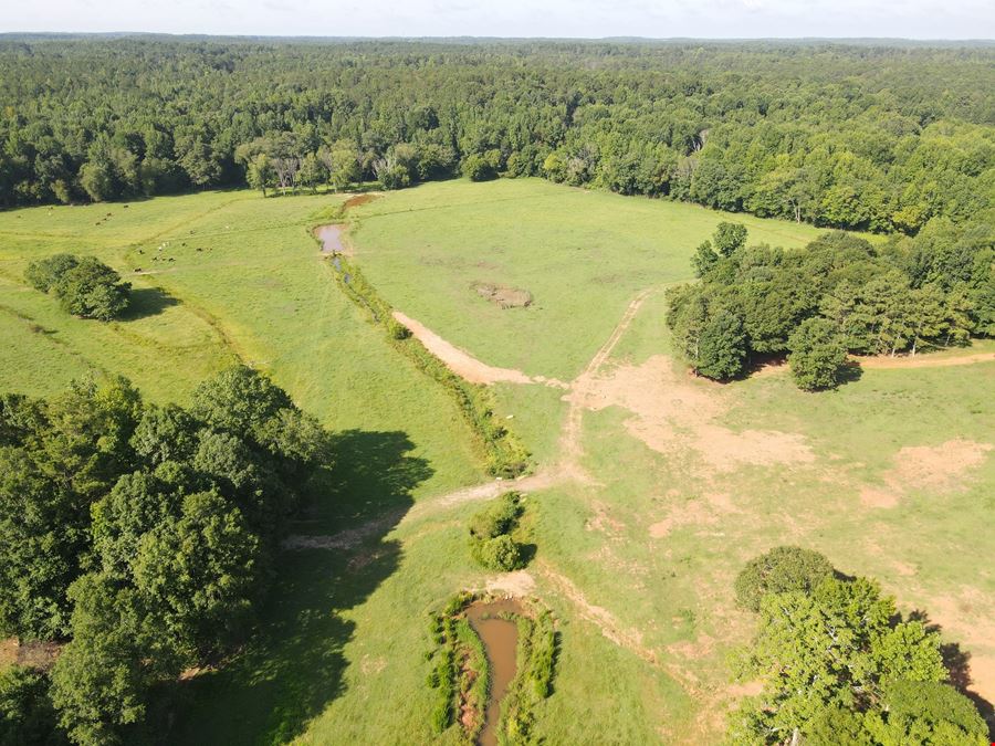 The Farm at Bear Creek - 170.78 Acres
