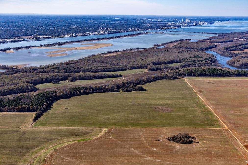 145+/- Acres near I-65/Hwy 20