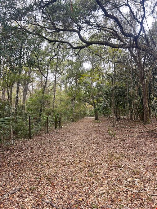 Citrus County Ranch and Recreational Tract