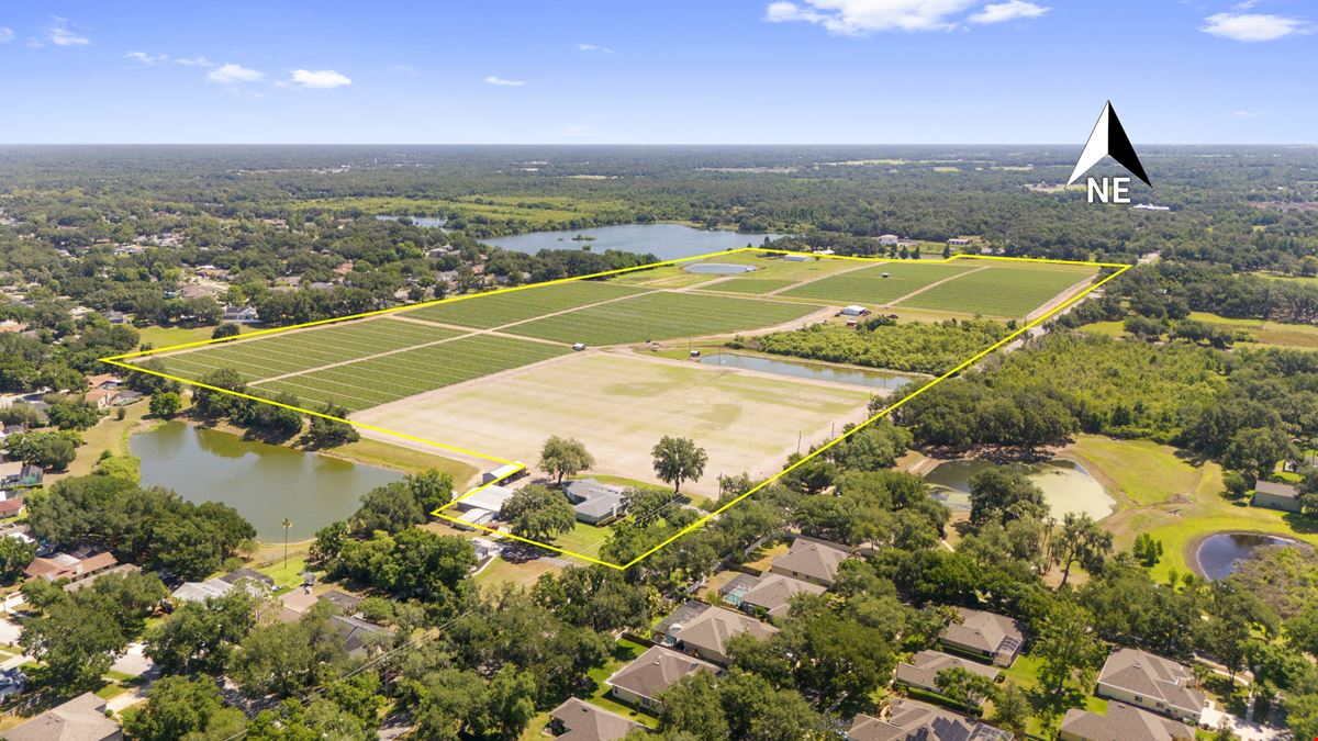 Old Hillsborough Lakefront Development