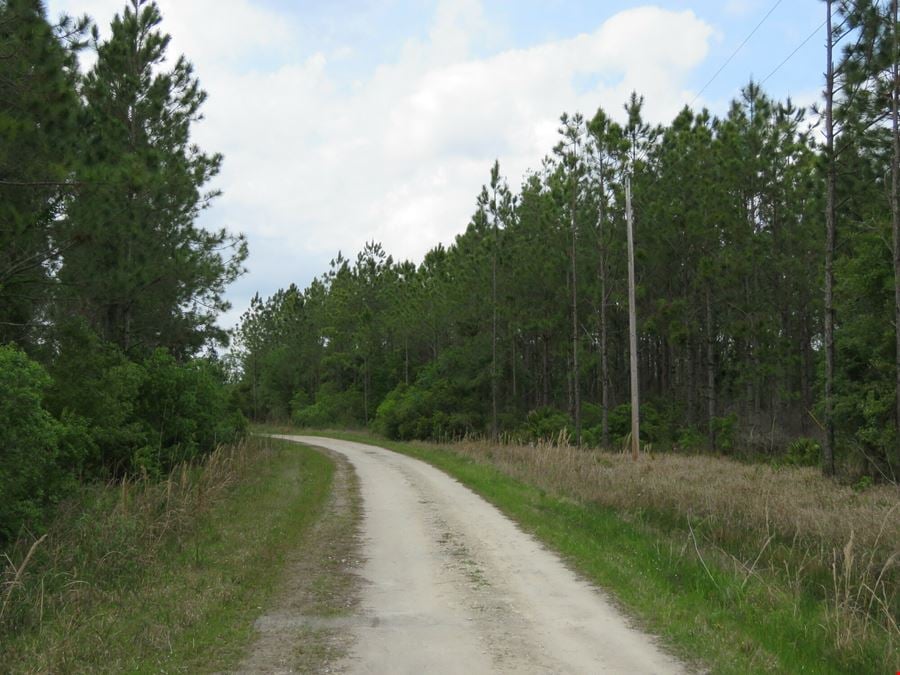 Otter Creek East Tract