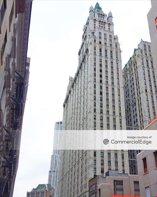 The Woolworth Building