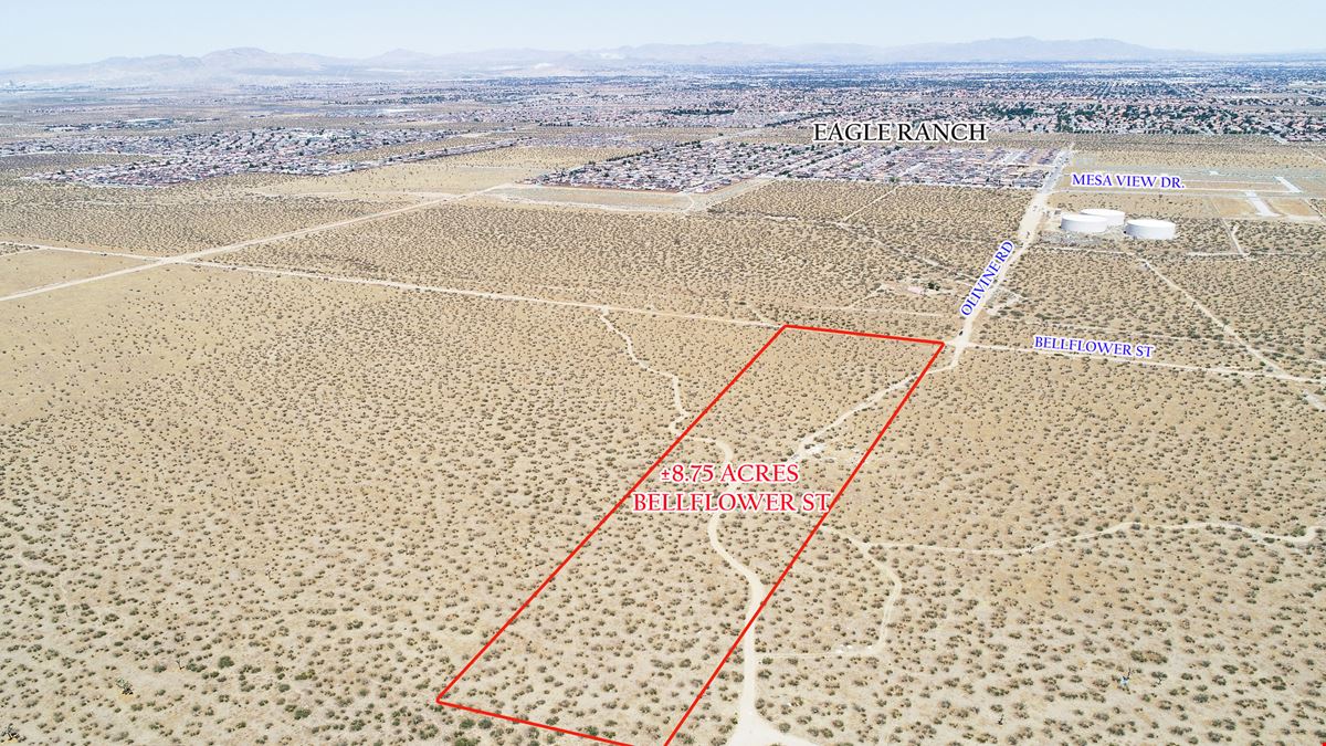 8.75 Acres Bellflower Street