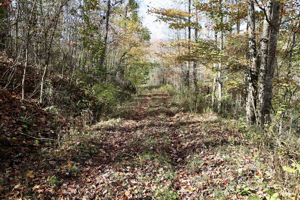 Ridges at Rock Creek 72 Acres