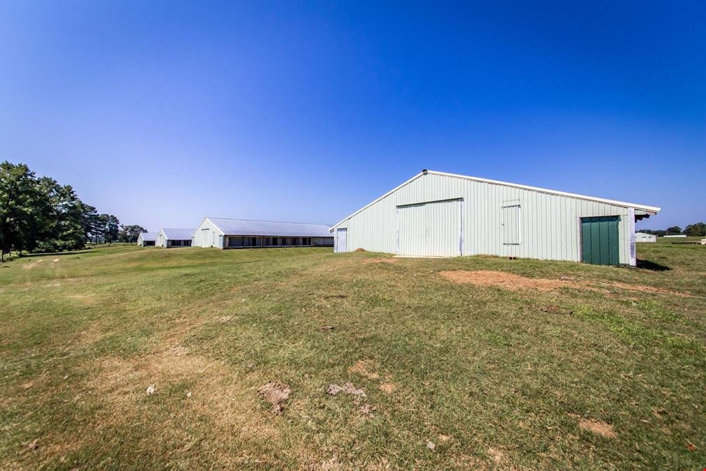 Hope Arkansas Chicken Farm