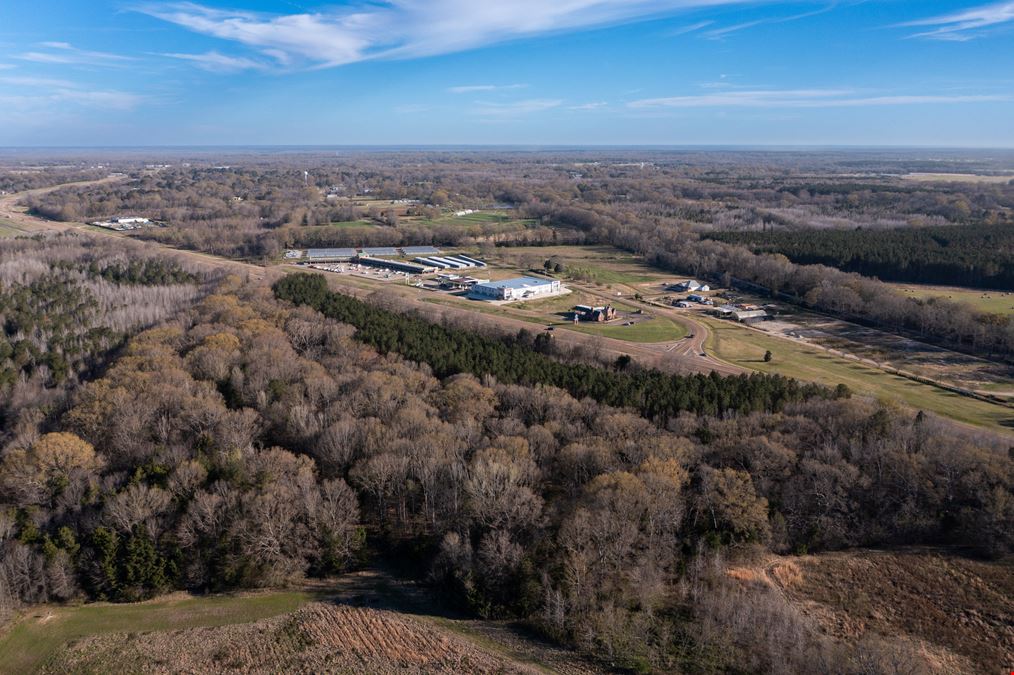 Premier Flora, MS Development Opportunity