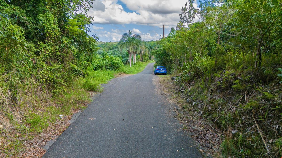 San Sebastian Vacant Land - For Sale