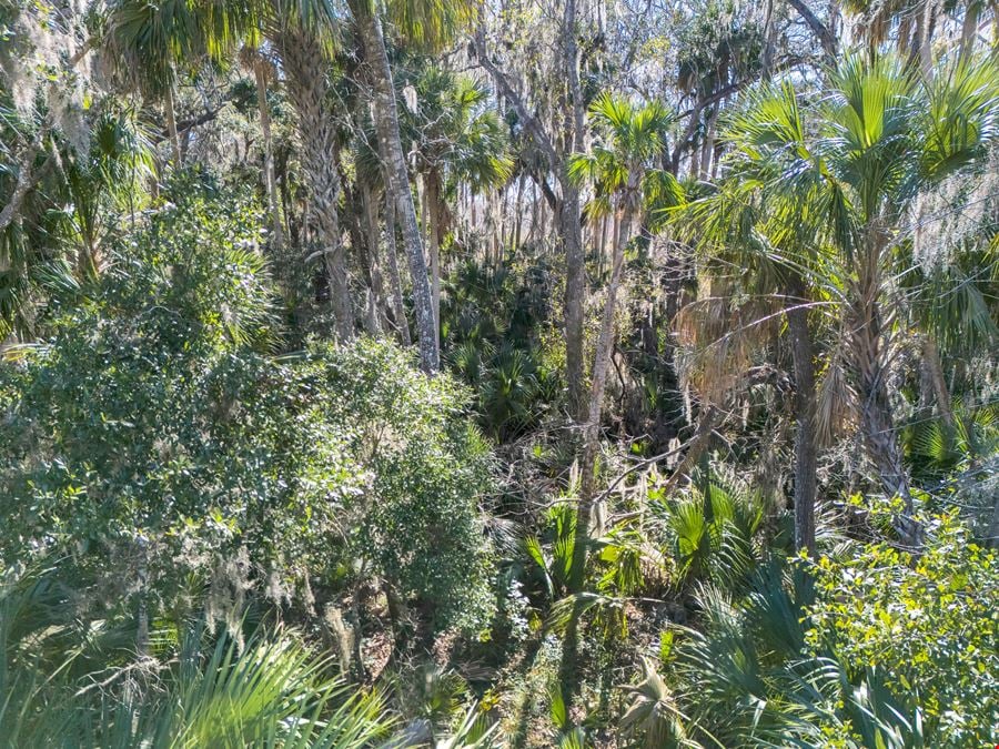Leesburg 80-Acre Recreational Tract