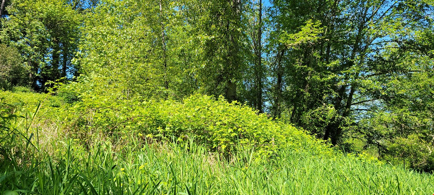 8.38 Acres Residential Development Land