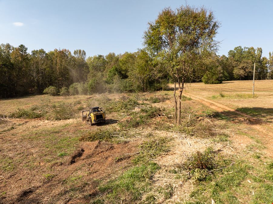 Chapman Branch Farms