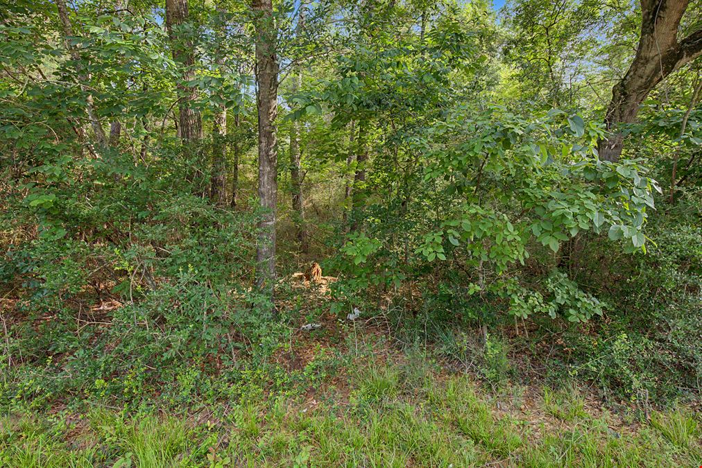 25-Acre Investment & Development Tract