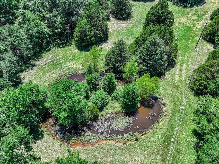 Land for Sale in Wills Point