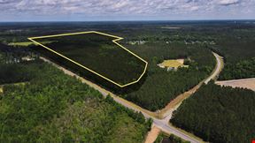 43 acres McCall Rd