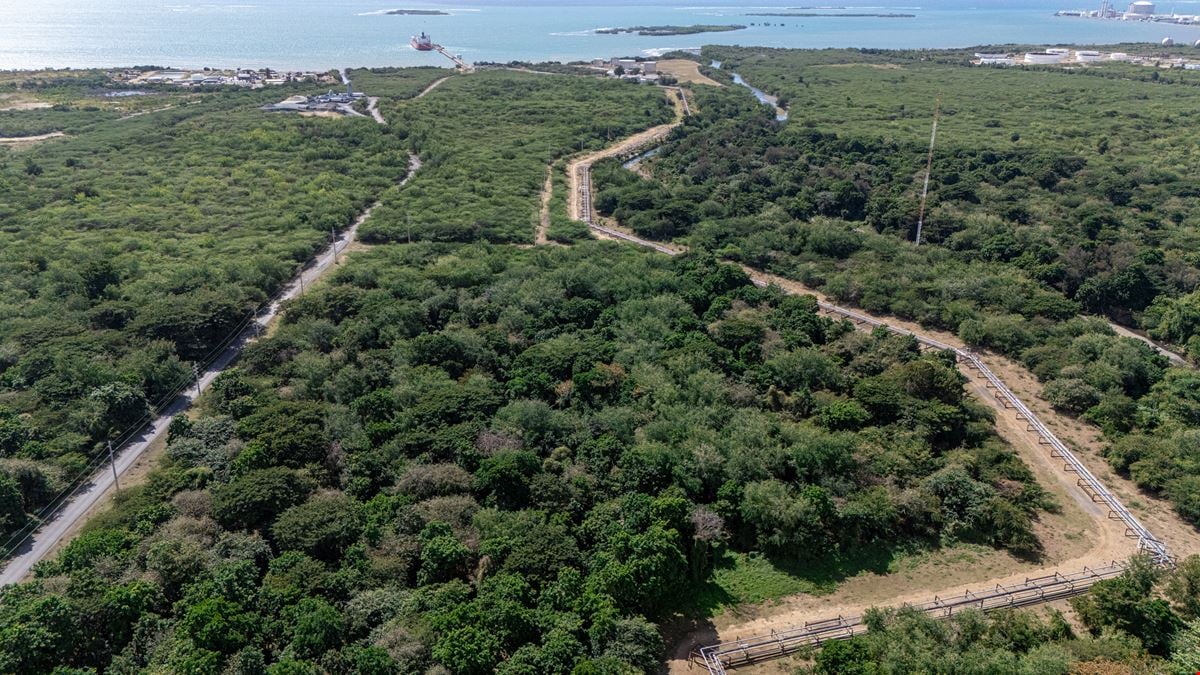 Industrial Vacant Land Portfolio @ Peñuelas - For Sale