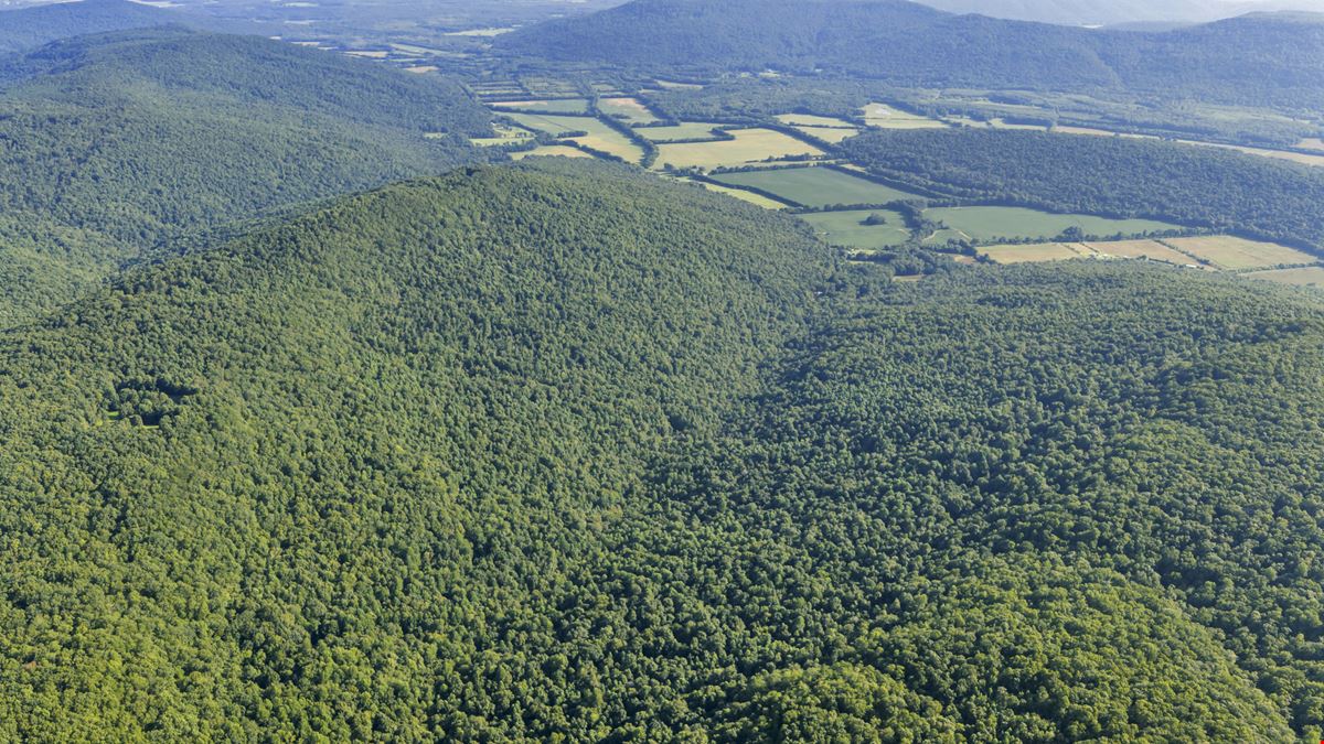 West Dempsey 339 Acres