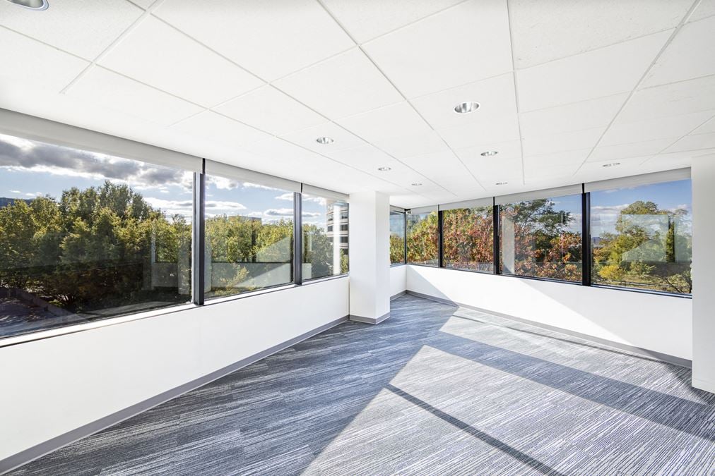 8219 Leesburg Pike
