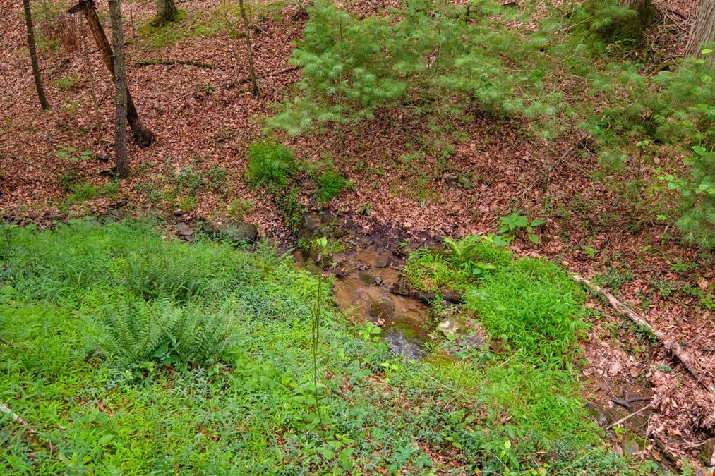 ADJOINING NATIONAL FOREST - 54.5 ACRE OFF-GRID MOUNTAIN RETREAT W/ CABIN