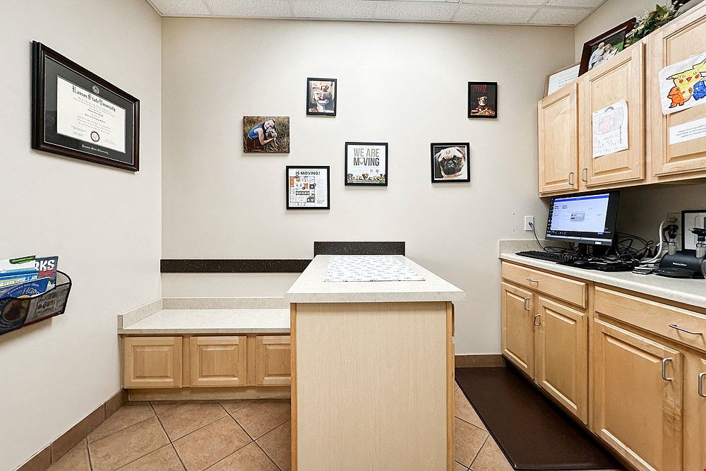 Turnkey Vet Clinic for Lease