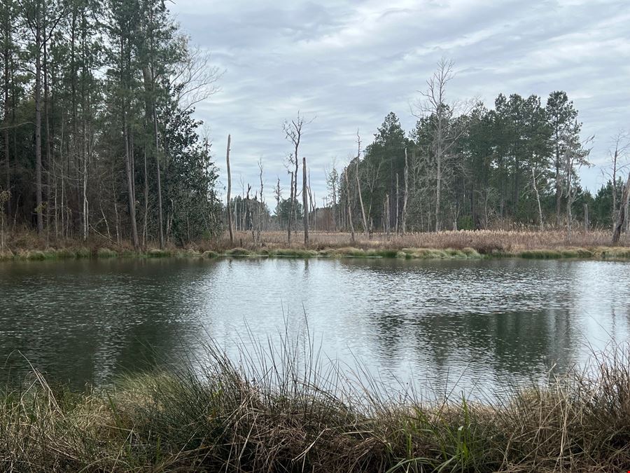 89 Acres in Early County, GA : Riverfront Property with Cabin and Outstanding Hunting Land