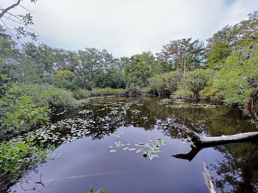 Adjacent to Six Mile Cypress Cypress Slough