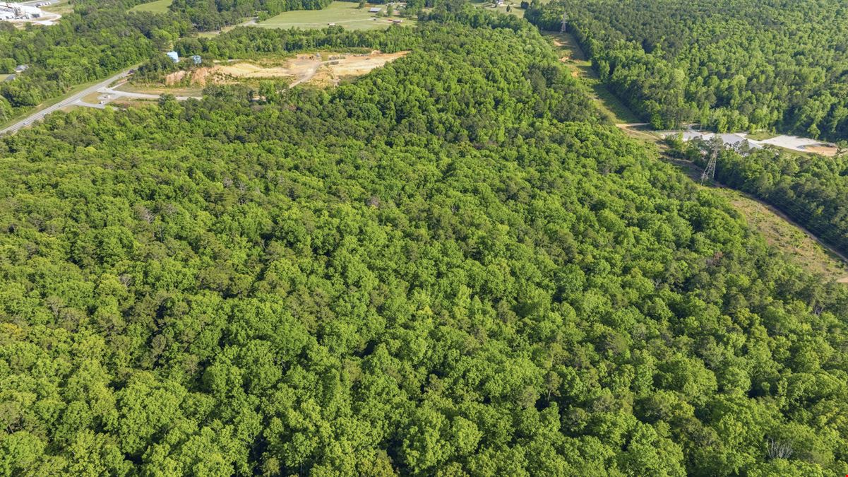 Bristow Gap 39 Acre Recreational Tract