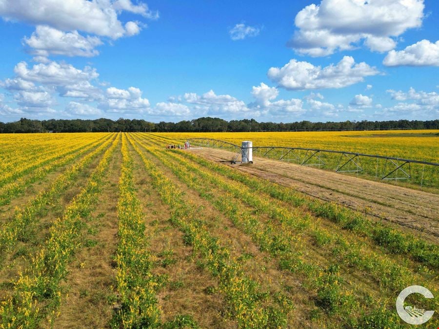 671 +/- Acres of Certified Organic Farmland in Decatur County, GA