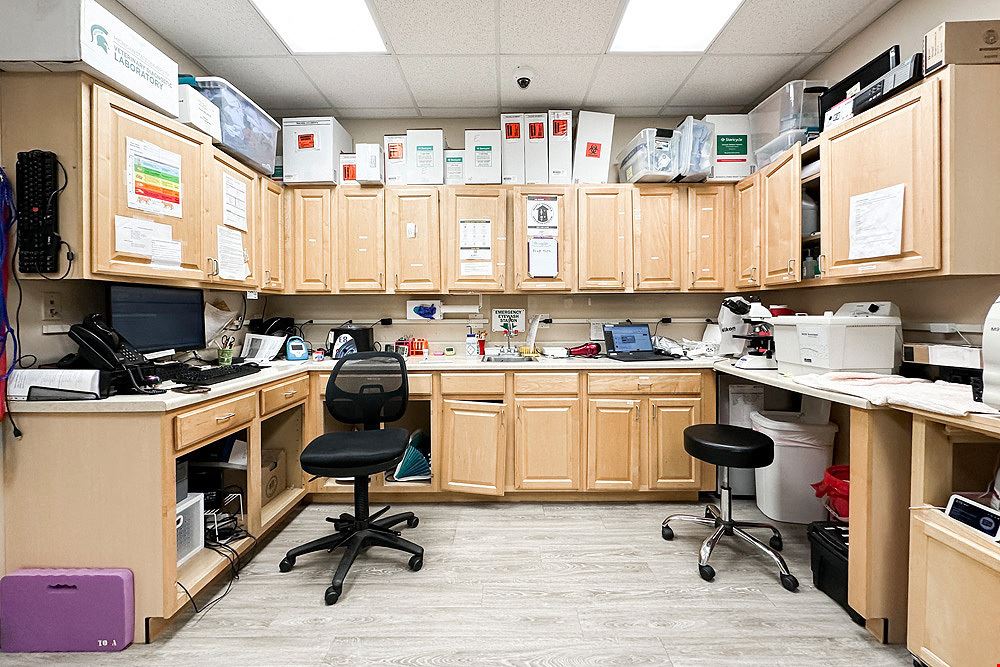 Turnkey Vet Clinic for Lease