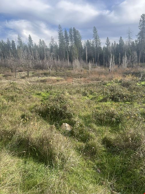 6.67 Acre Grass Valley Lot