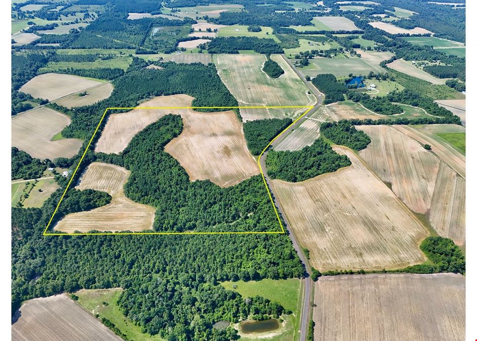 Dupree Tract