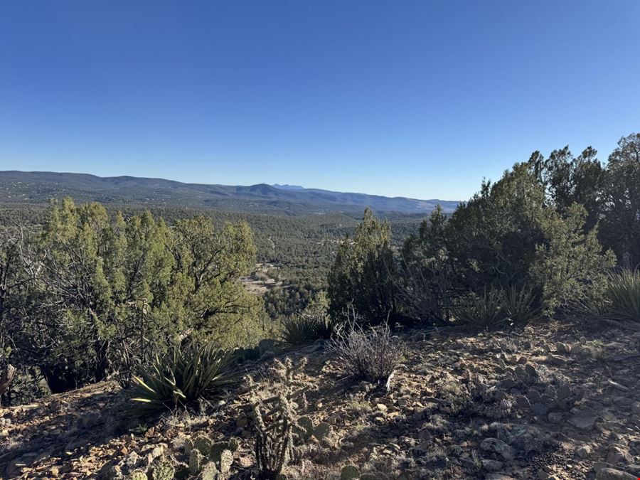 201 Pinon Trail