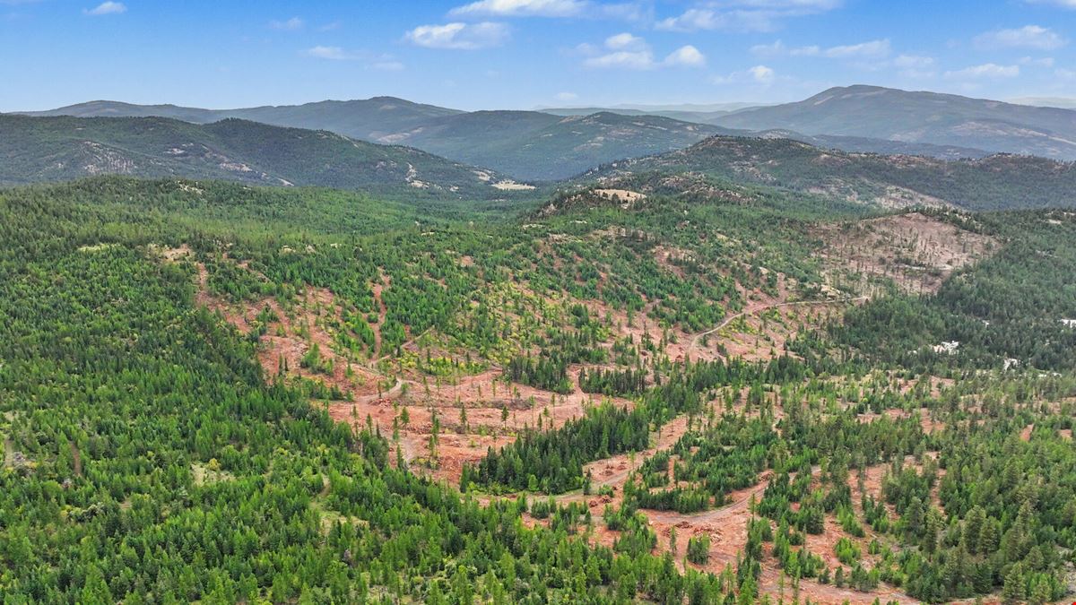 320 Private Wooded Acres West of Kalispell, Montana