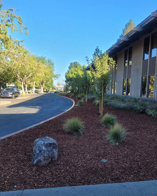 Walnut Creek Executive Park