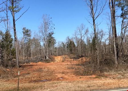 Preview of VacantLand space for Sale at 8531 Thomaston Rd
