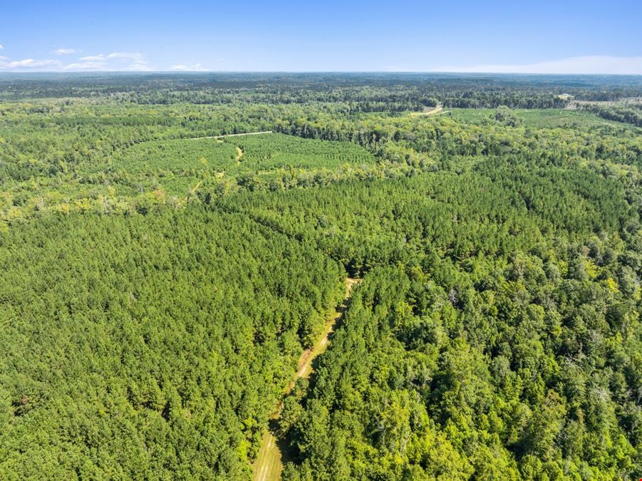 Recreation Land for Sale