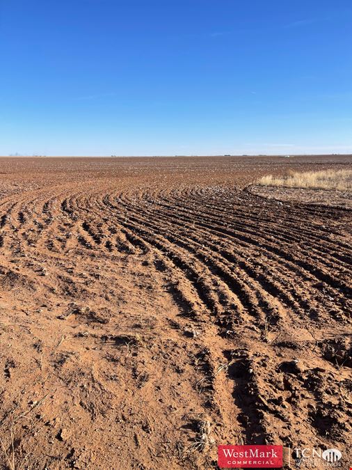 640 Acres North Lynn Co., TX 79373