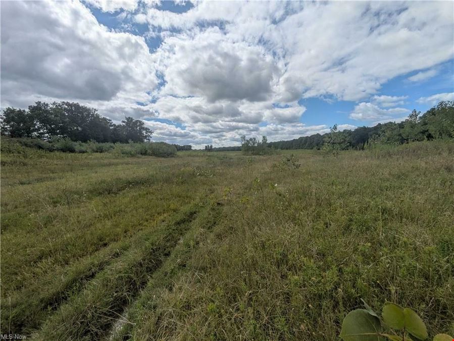 Saybrook I-90 / SR 45 Interchange Commercial Development Site - 36 acres Vacant Land
