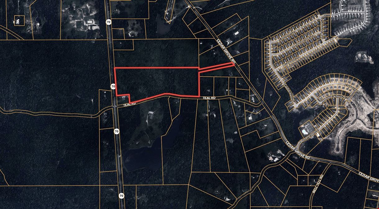 Teal Road - 21.88 Acres