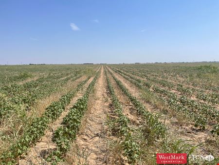 Preview of commercial space at 177.1 Acres Productive Farm Land Hockley Co., TX