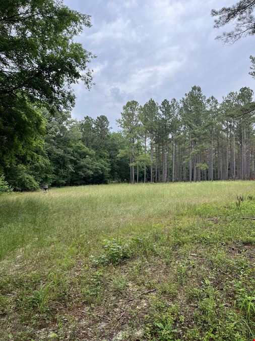 182 Acres Timberland with Cabin & Ponds
