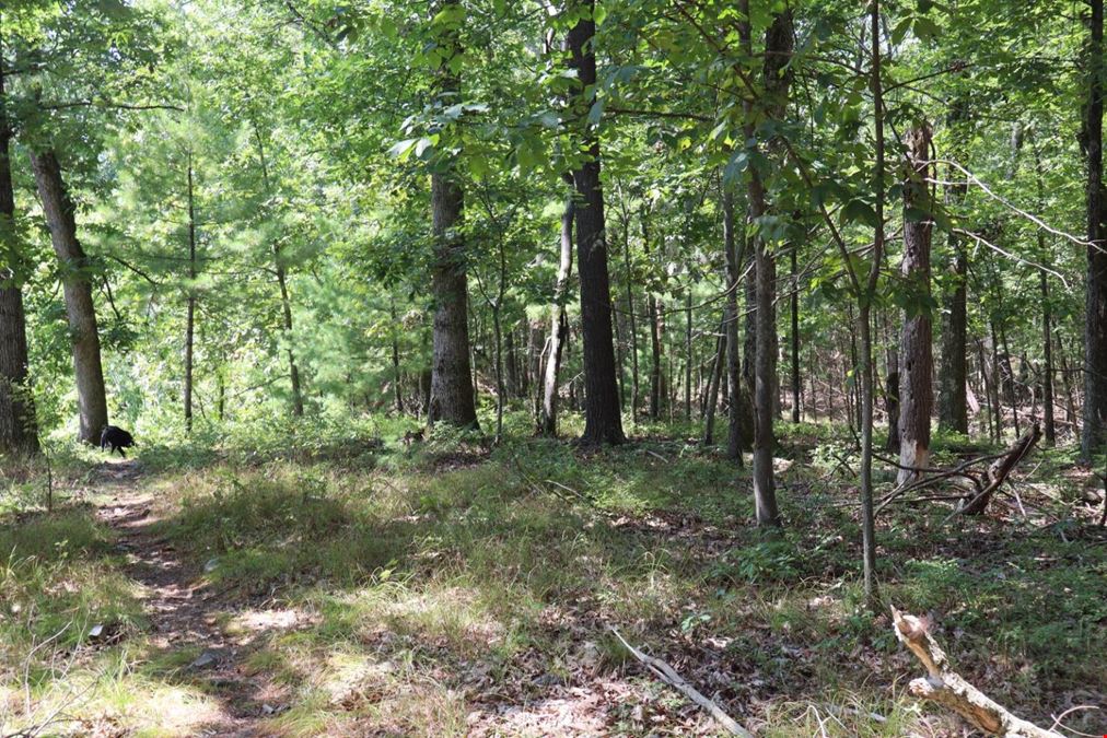 2050 Sawkill-Ruby Road