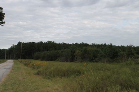 Preview of VacantLand space for Sale at CR 239