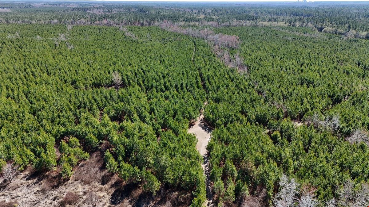 Lewis Timber Tracts