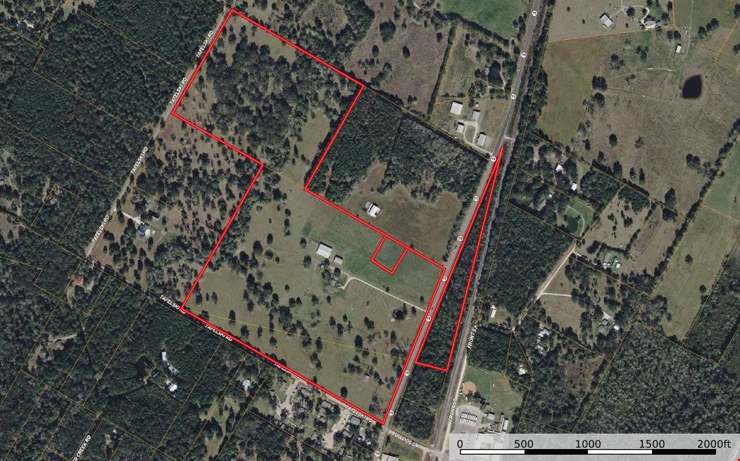 ±80 Acres For Sale | Prime Land Opportunity in New Waverly, TX